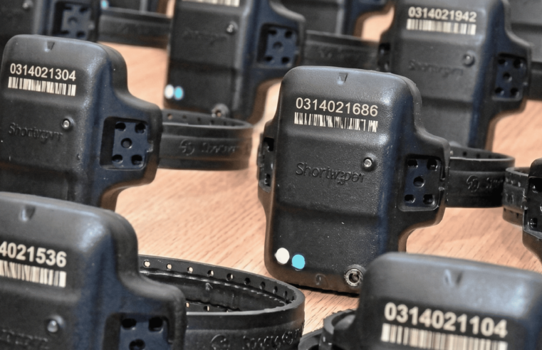 Senado Aprova uso Obrigatório de Tornozeleira Eletrônica para Agressores de Mulheres