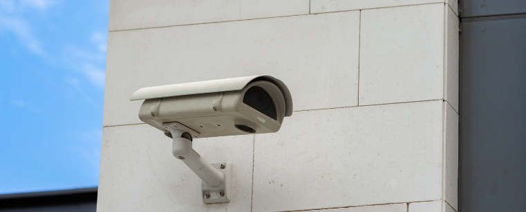 Uso Indevido de Câmeras: Pet shop é Condenado por Invasão de Privacidade