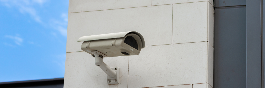 Uso Indevido de Câmeras: Pet shop é Condenado por Invasão de Privacidade