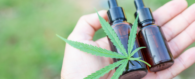 STJ Valida Regulamentação da Anvisa para Cultivo Medicinal da Cannabis e Consolida Novo Marco no Brasil